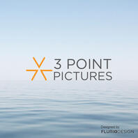 3 Point Picture